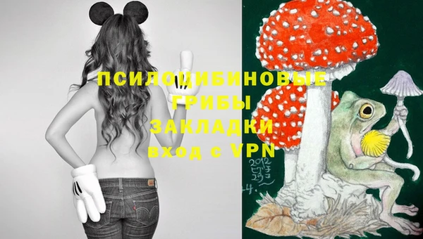 эйфоретик Лихославль