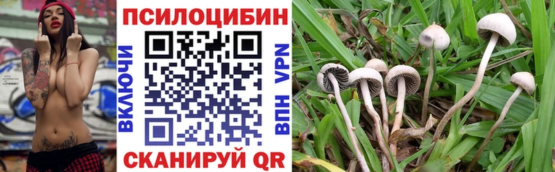 Псилоцибиновые грибы ЛСД  Сухой Лог 